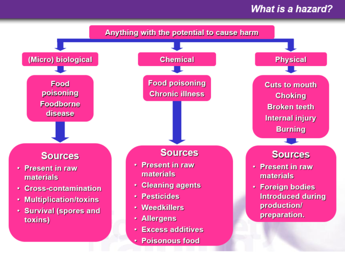 The Level 3 Award in Haccp for manfacturing Food Safety Training