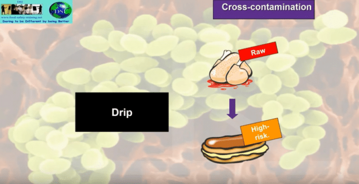 Sources, Vehicles And Routes Of Bacterial Contamination – Food Safety ...